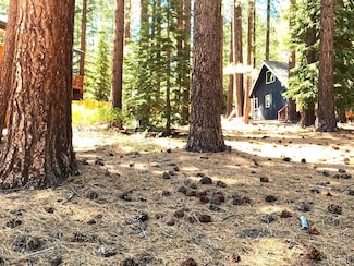 1170 Kulow St, South Lake Tahoe, CA 96150