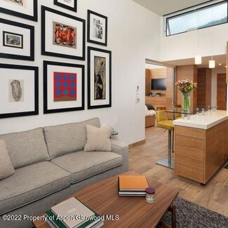 119 E Cooper Ave Unit 22, Aspen, CO 81611