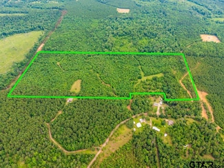 3536 & TBD Cr 1579, Avinger, TX 75630