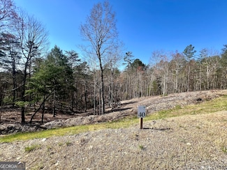 40 Ridgeline Ln, Mineral Bluff, GA 30559