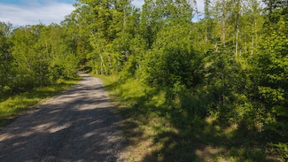 Lot 1 Shortcut Dr, Woolwine, VA 24185