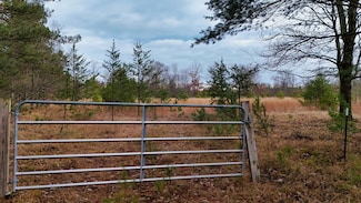 3726 N Custer Rd, Stronach, MI 49660