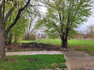 3346 Rochester St, Detroit, MI 48206