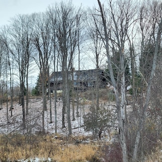 8435 Wolf Creek Rd, Herron, MI 49744