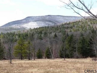 0 Jones St, Cairo, NY 12413