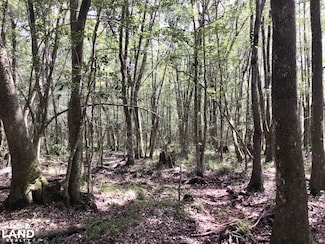 0 Landfield Rd, Chatom, AL 36518