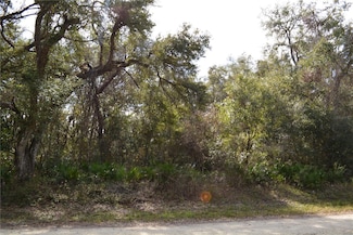 0 Rosehill Dr Unit MFRG5090712, Webster, FL 33597