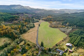 807 Allender Rd, Ryderwood, WA 98581