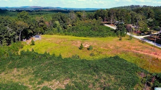 0 County Road 91, Goodwater, AL 35072