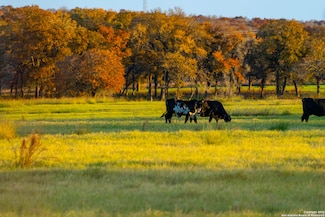 TBD S State Hwy 123, Seguin, TX 78155
