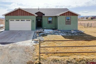 55702 Fuchsia Ln, Olathe, CO 81425