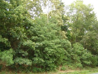0000 Snyders Store Rd, Wingate, NC 28174