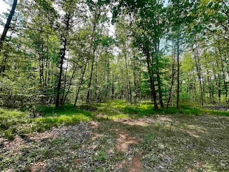 0 Nejedlo Rd, Wausaukee, WI 54177
