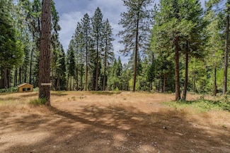 17770 Gold Creek Trail, Volcano, CA 95689