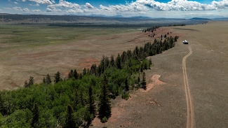 4319 Meier Ridge Trail, Fairplay, CO 80440