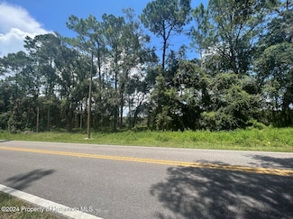 0 Madonna Dr Unit 2241191, Webster, FL 33597