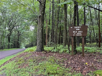 1176 Wirsing School Rd, Wharton Township, PA 15440
