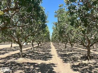 28000 W Jayne Ave, Coalinga, CA 93210