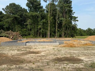 2161 Bloomville Rd, Manning, SC 29102