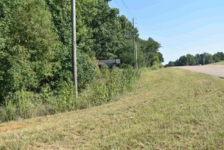 00 45 Hwy, Ramer, TN 38367