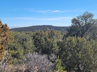 184 Sunlight Rd, Edgewood, NM 87015