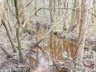 002 Harris Stevenson Rd, Bonifay, FL 32425