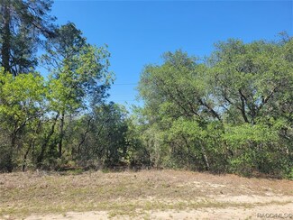 6796 N Sandborn Loop, Citrus Springs, FL 34433