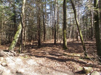 lot 25 Lynes Rd, Chester, MA 01011