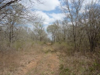 0 State Highway 87 Unit 177568, Stockdale, TX 78160