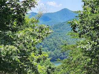 lot19 Bel-Aire Estates, Hiawassee, GA 30546