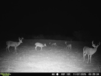 0 County Road 203 Unit 25565276, San Jose, TX 78332