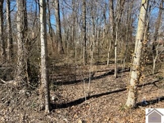 0 Hickory St Unit 120847, Lacenter, KY 42056