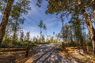 0 Whitehouse Fork Rd Unit 356533, Bay Minette, AL 36507