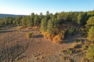 109 Hemlock Place, Pagosa Springs, CO 81147