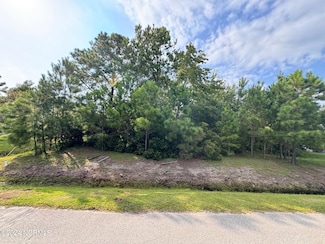 309 E Dolphin, Sneads Ferry, NC 28460