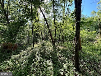 0 O Howellsville Rd, Boyce, VA 22620