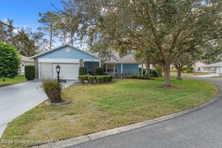 6423 Lost Tree Ln, Spring Hill, FL 34606