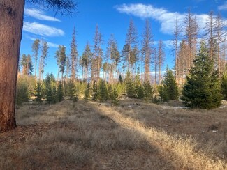 Lot 201 Peacemaker Ct, Seeley Lake, MT 59868