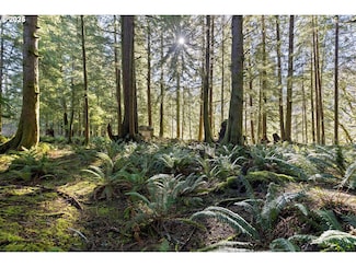 0 N Stockton Ave Unit TL 2700, Otis, OR 97368