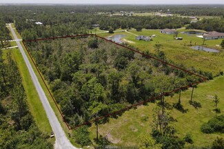 25601 79th Ave E, Myakka City, FL 34251