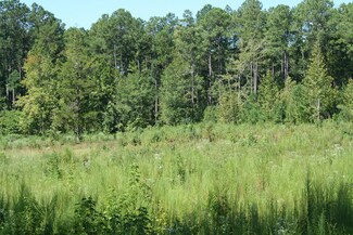 Lot B Dozier Rd, Appling, GA 30802