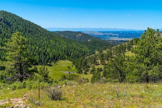 Unknown County Road 1, Cripple Creek, CO 80813