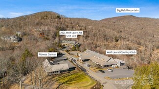 2521 Wolf Laurel Rd Unit 104, Mars Hill, NC 28754