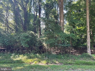 0 Montgomery Unit MDKE2004196, Chestertown, MD 21620