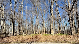0 Hopewell Trail, Moreland Hills, OH 44022
