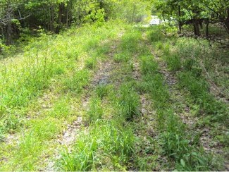 0 Route 105 Unit 4241355, Jay, VT 05859