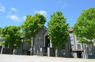 42 Harrison Ln Unit M-302, Ludlow, VT 05149