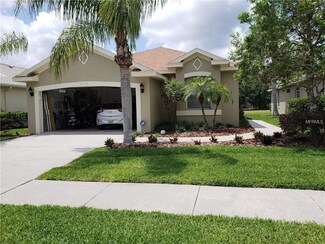 3626 Doral St, Palm Harbor, FL 34685