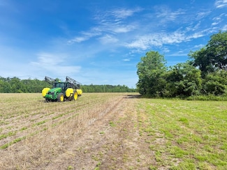 E Street Luke Church Rd Unit LotWP001, Johnsonville, SC 29555