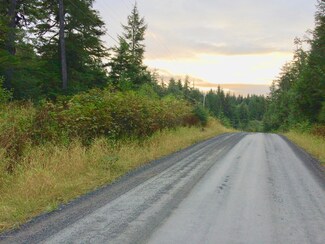 L5B6 Whale Pass Subdivision, Craig, AK 99950